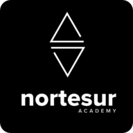 Logo de Nortesur Jiu Jitsu Academy 